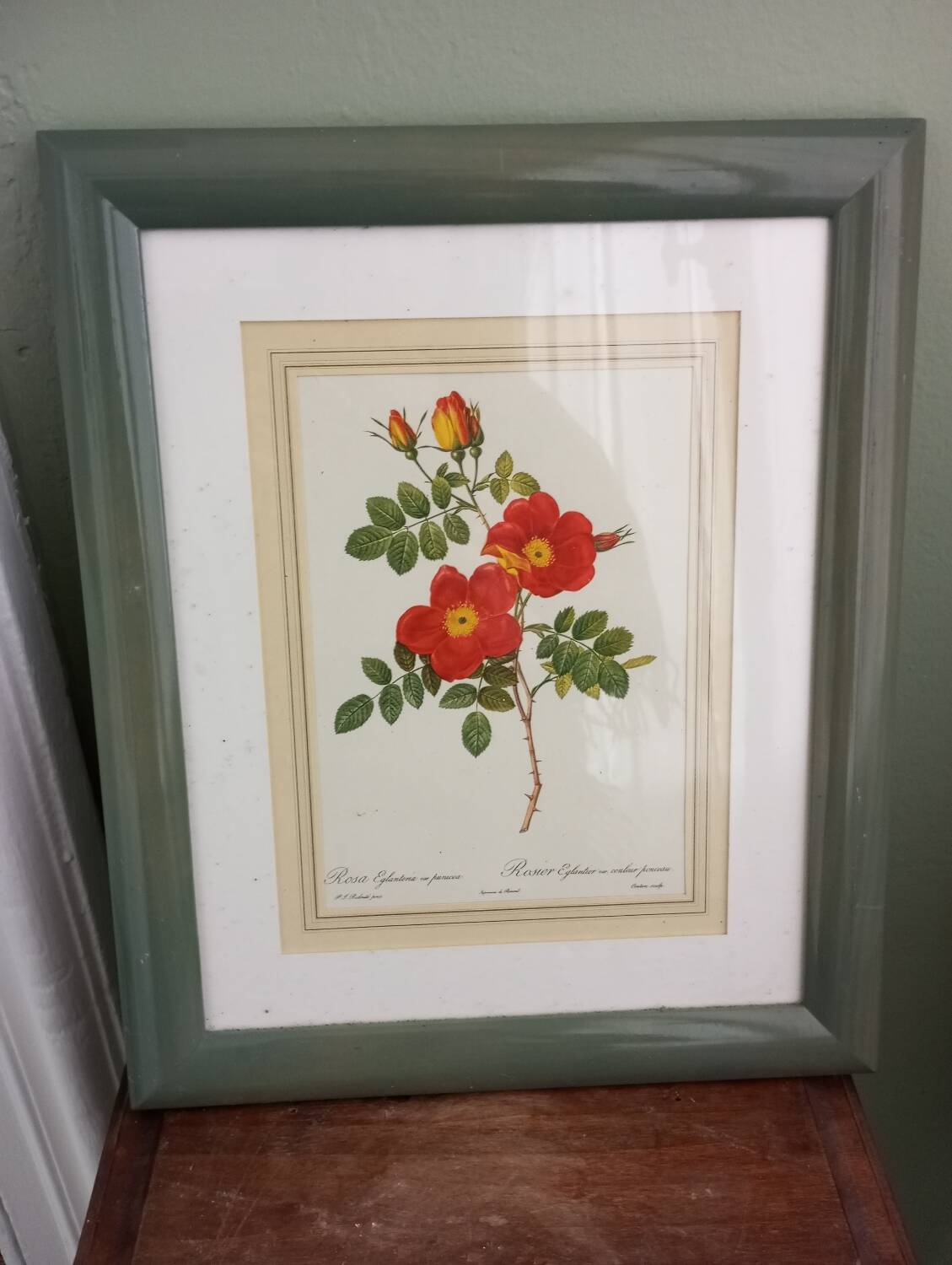 Small pink botanical board