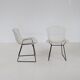 Harry Bertoia model 240 wire chair Knoll