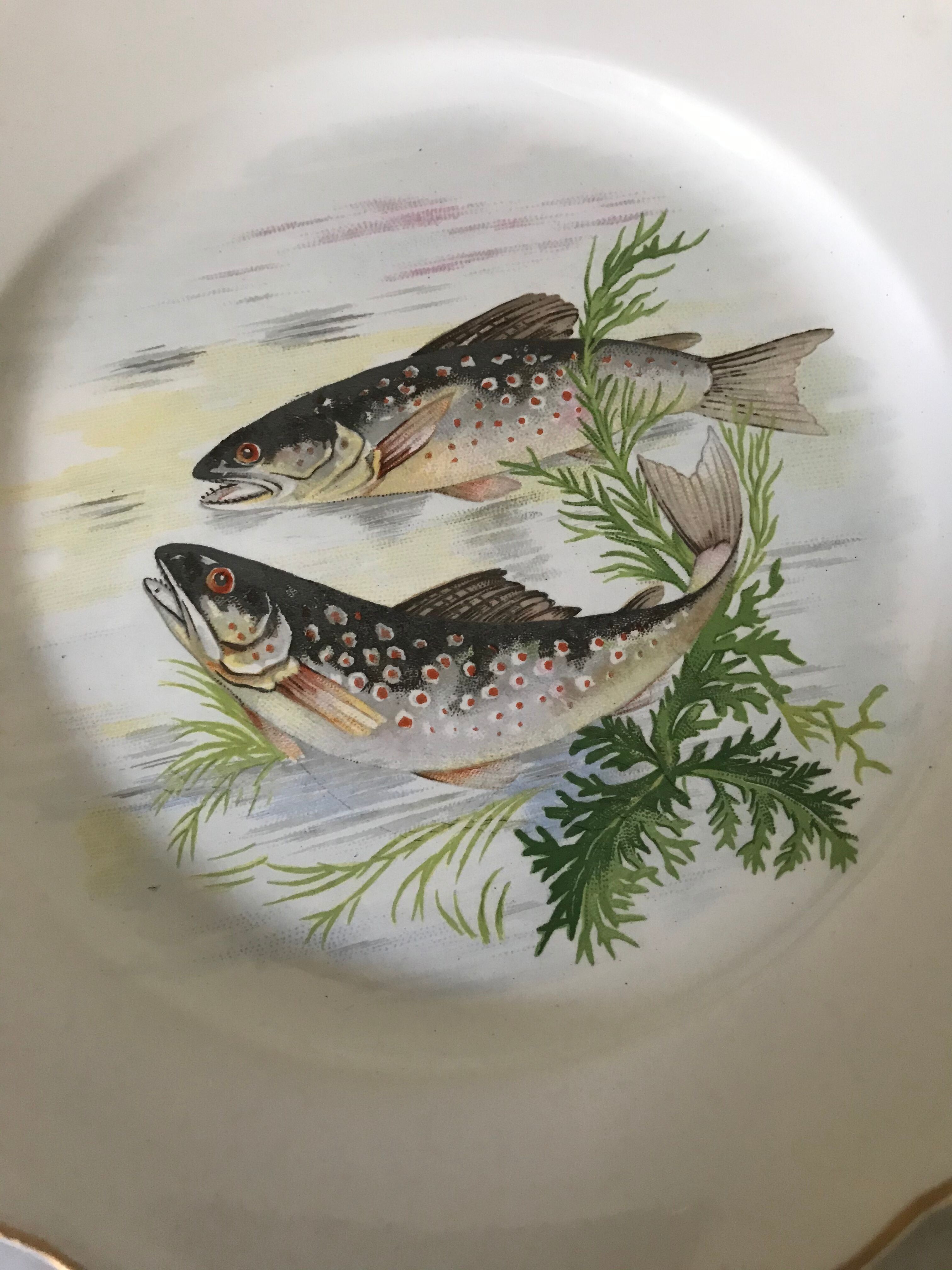 12 Digoin plates - Sarreguemines