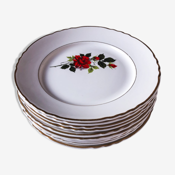 Ensemble de 10 assiettes rose rouge moulin des loups