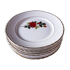 Ensemble de 10 assiettes rose rouge