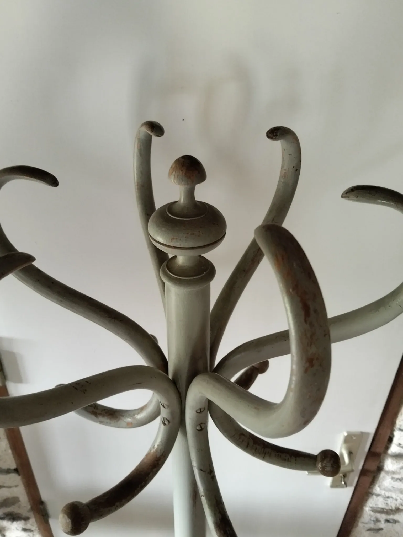 Porte manteau perroquet