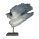 Ancient blue coral