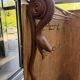 Art Deco entrance hall wardrobe
