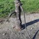Well pump cast iron 19th