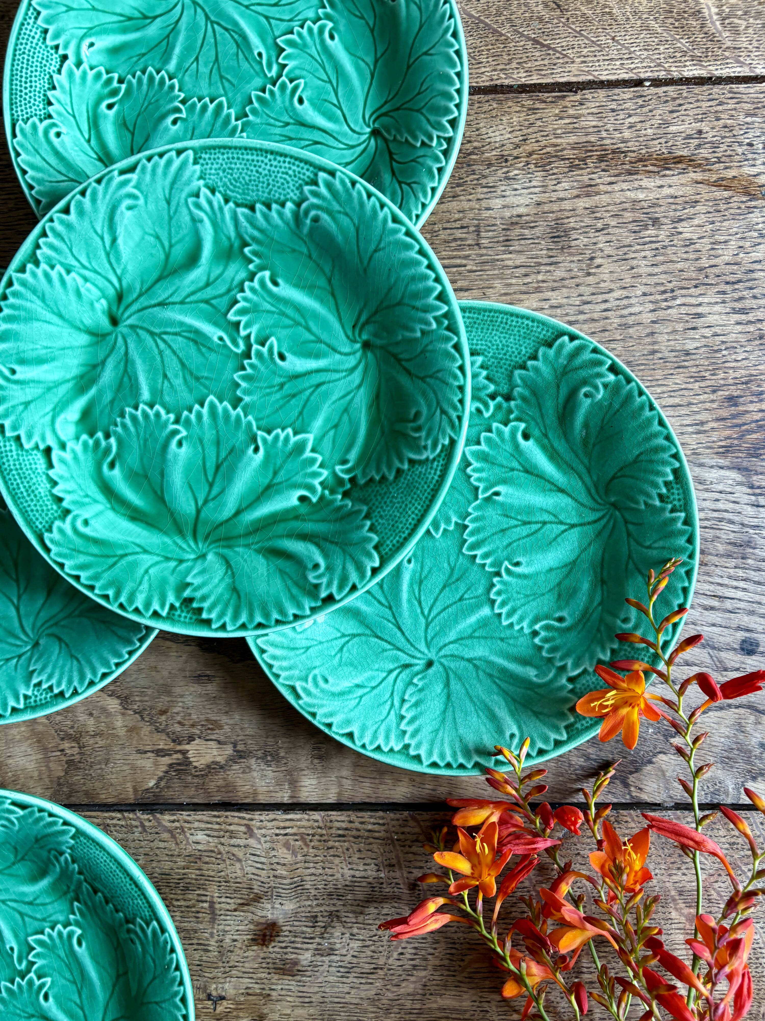Set of 6 vintage green earthenware plates