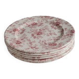 Service of 6 English earthenware plates