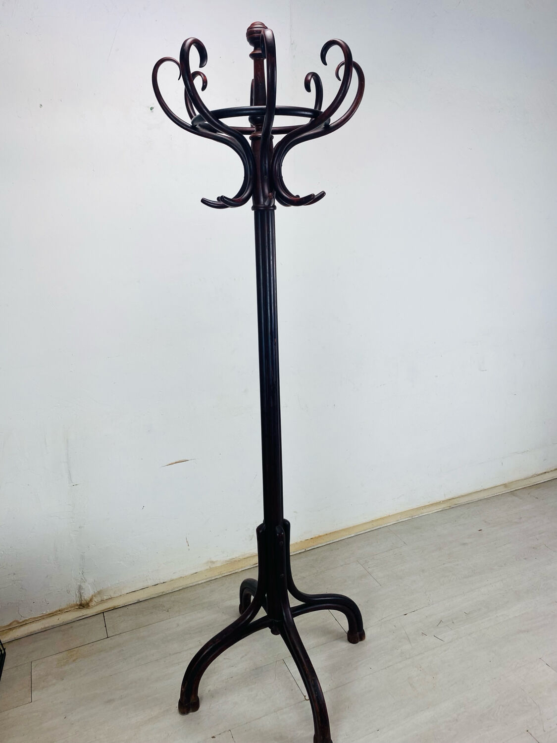 Parrot coat rack Thonet