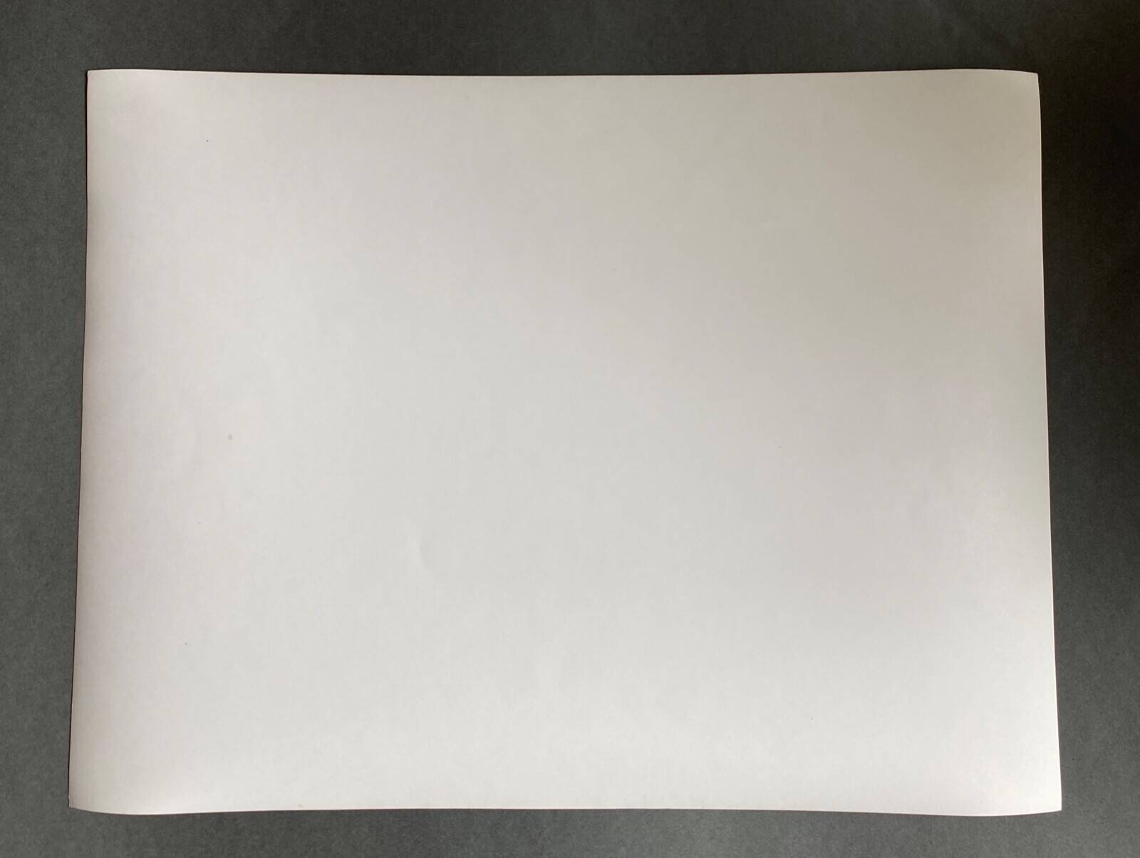 Vintage photograph of fir trees and mountains by Bernard Darot, 20th century