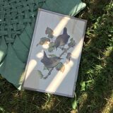 Vintage bird lithograph frame