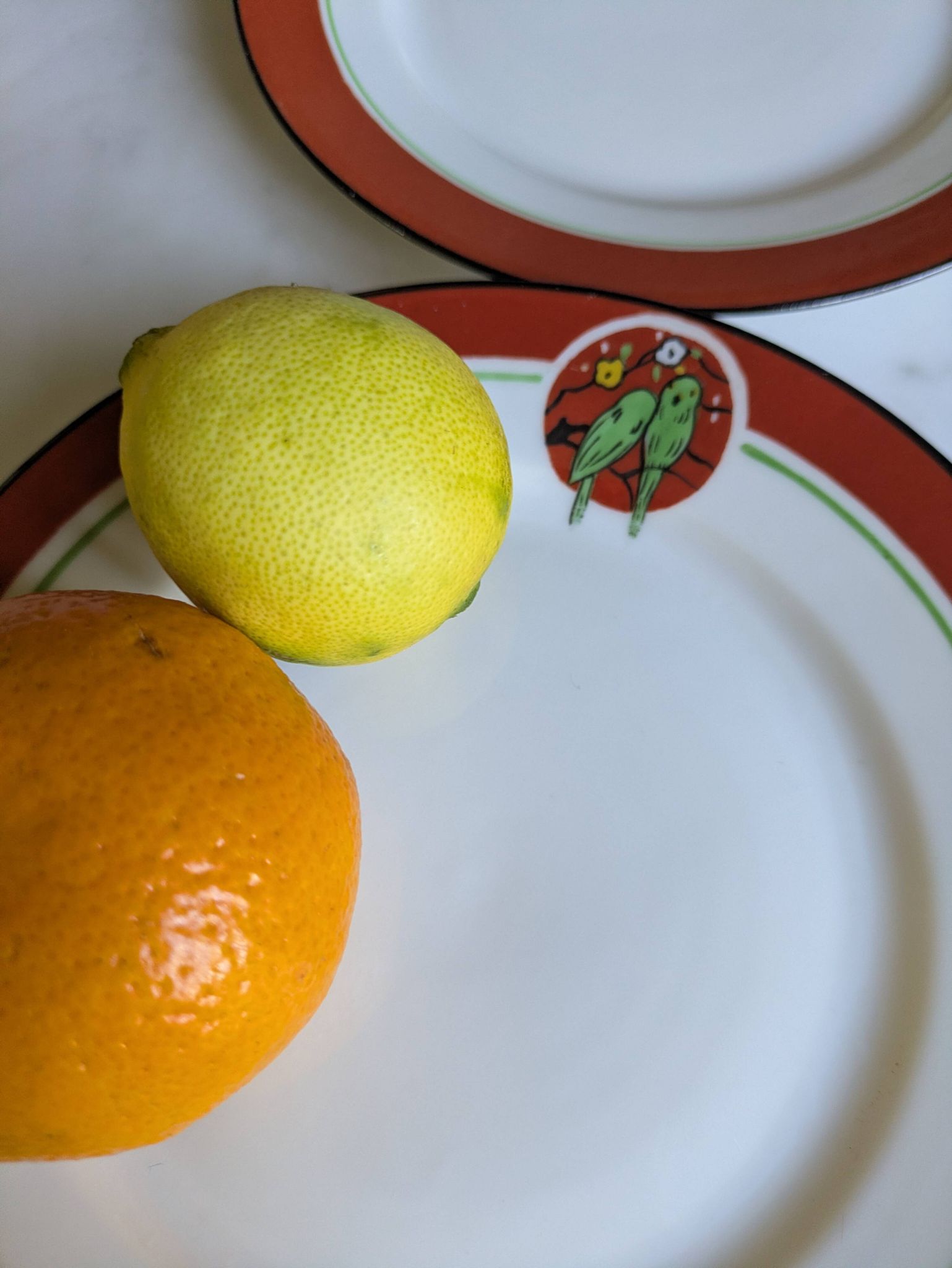 Art Deco dessert plates Henri Delcourt / Boulogne sur Mer / parakeet