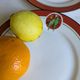 Art Deco dessert plates Henri Delcourt / Boulogne sur Mer / parakeet