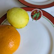 Art Deco dessert plates Henri Delcourt / Boulogne sur Mer / parakeet
