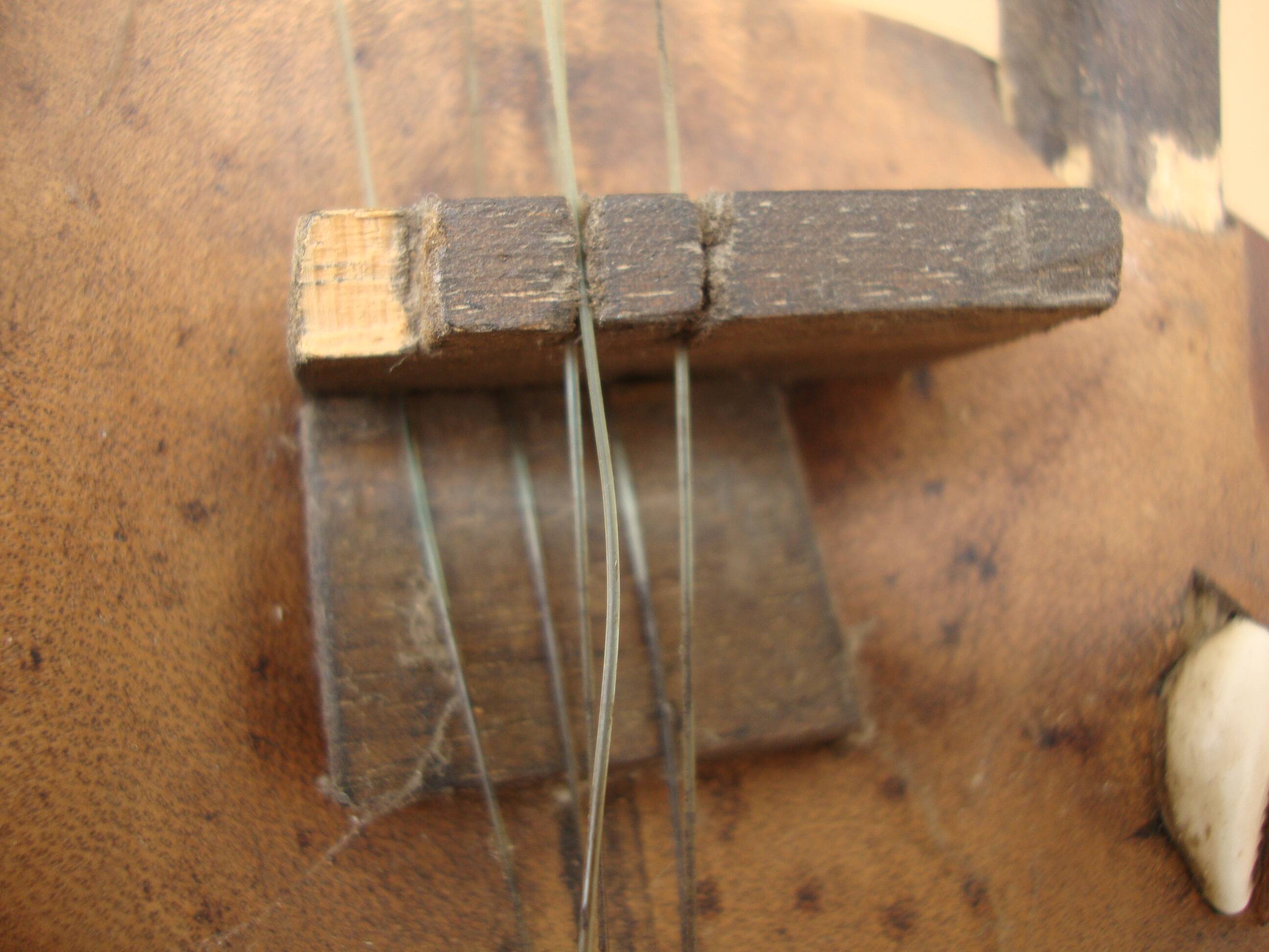 Traditional African Kora