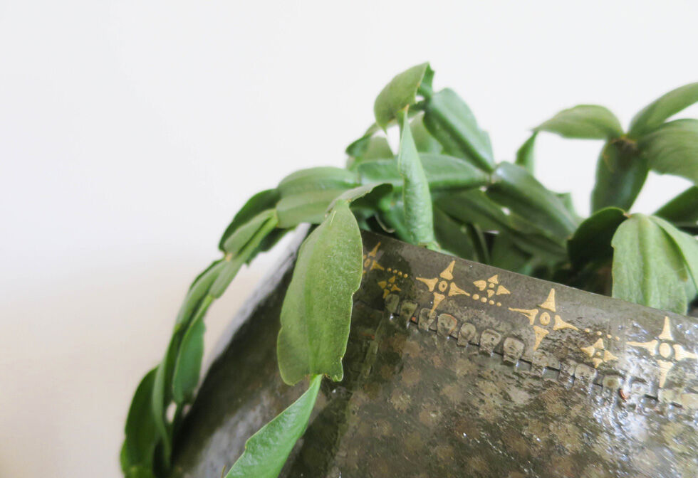 Cache pot-star
