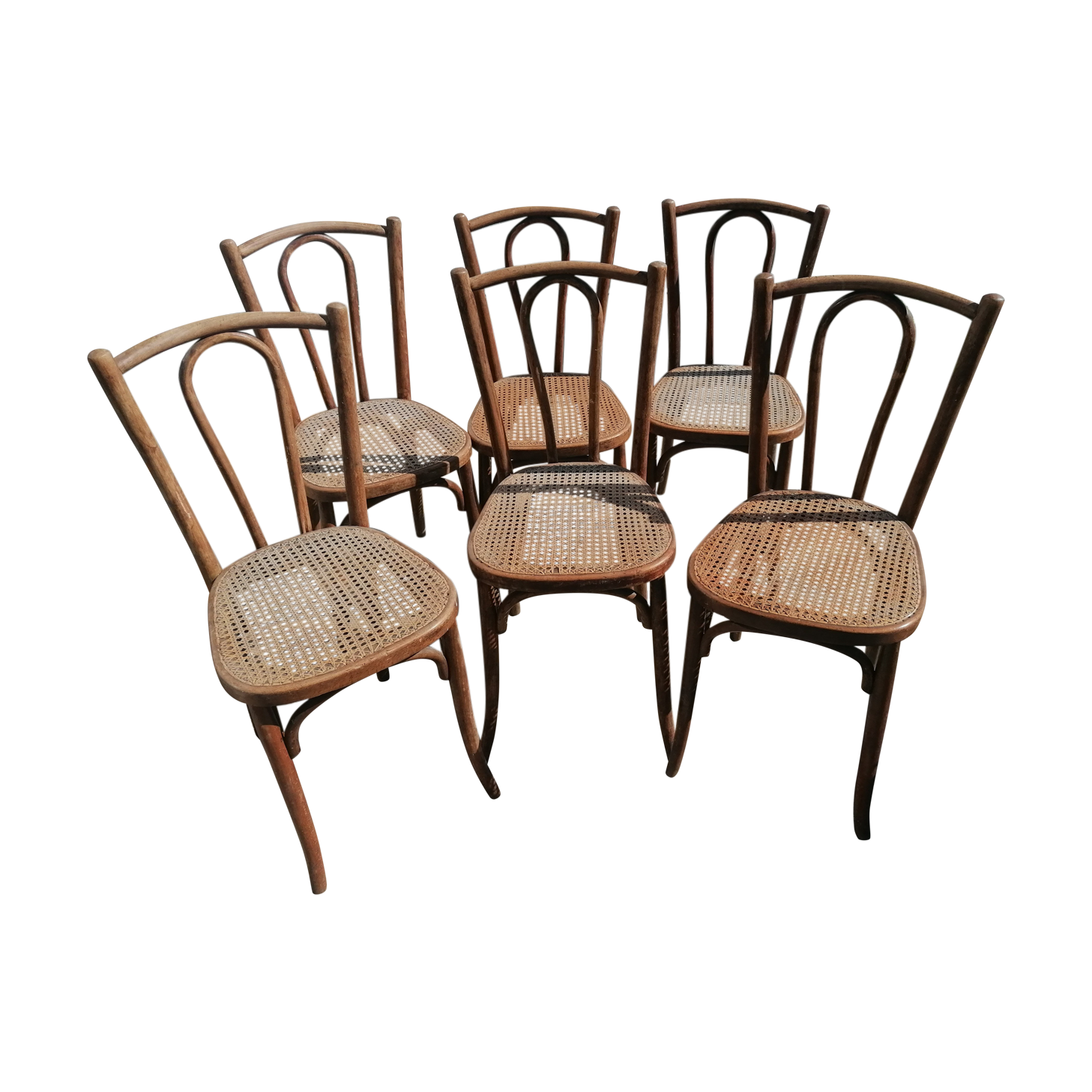 6 chaises cannées Baumann