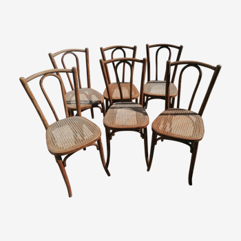 6 chaises cannées Baumann