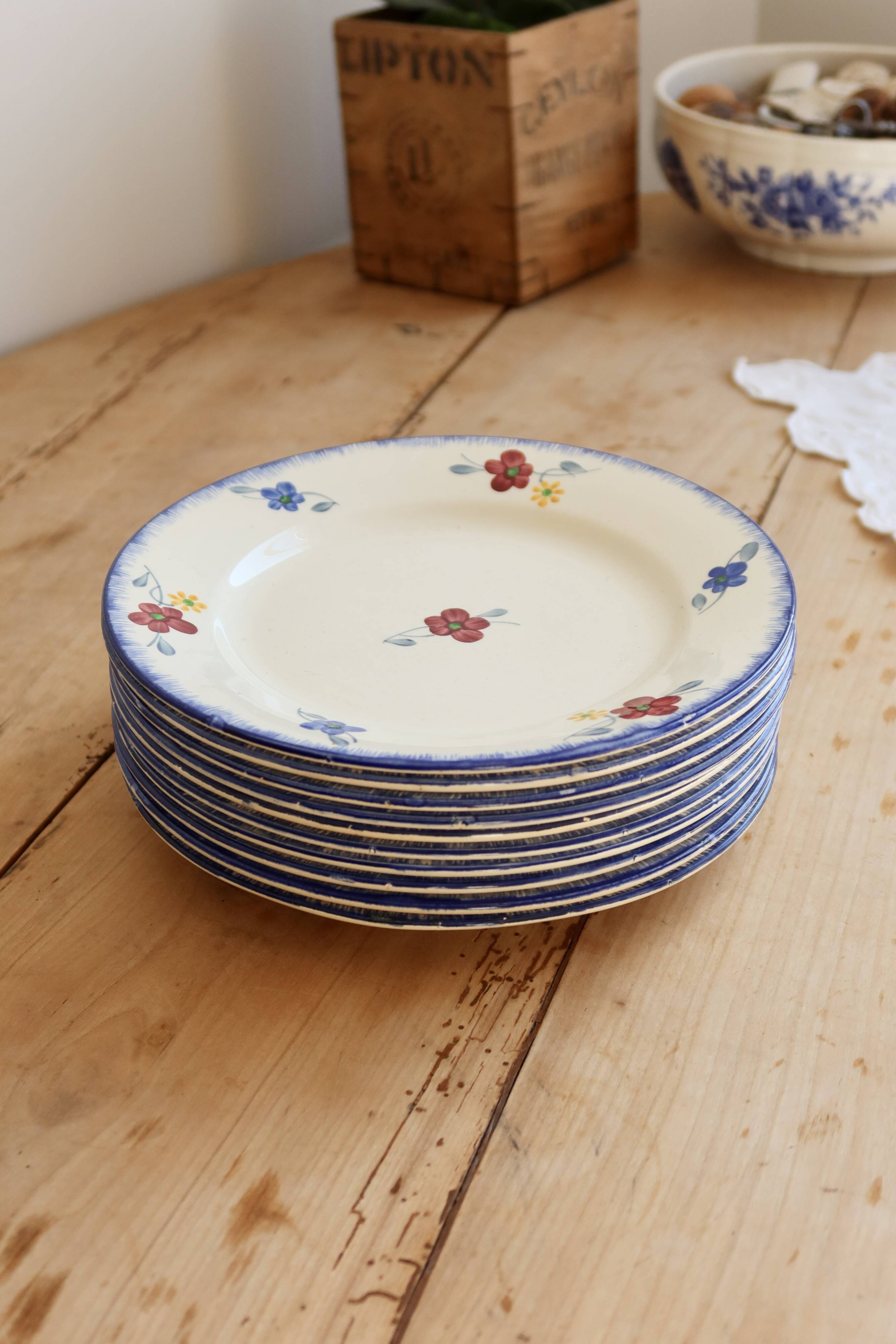 Vintage flat plates Digoin Sarreguemines model Mary-Lou