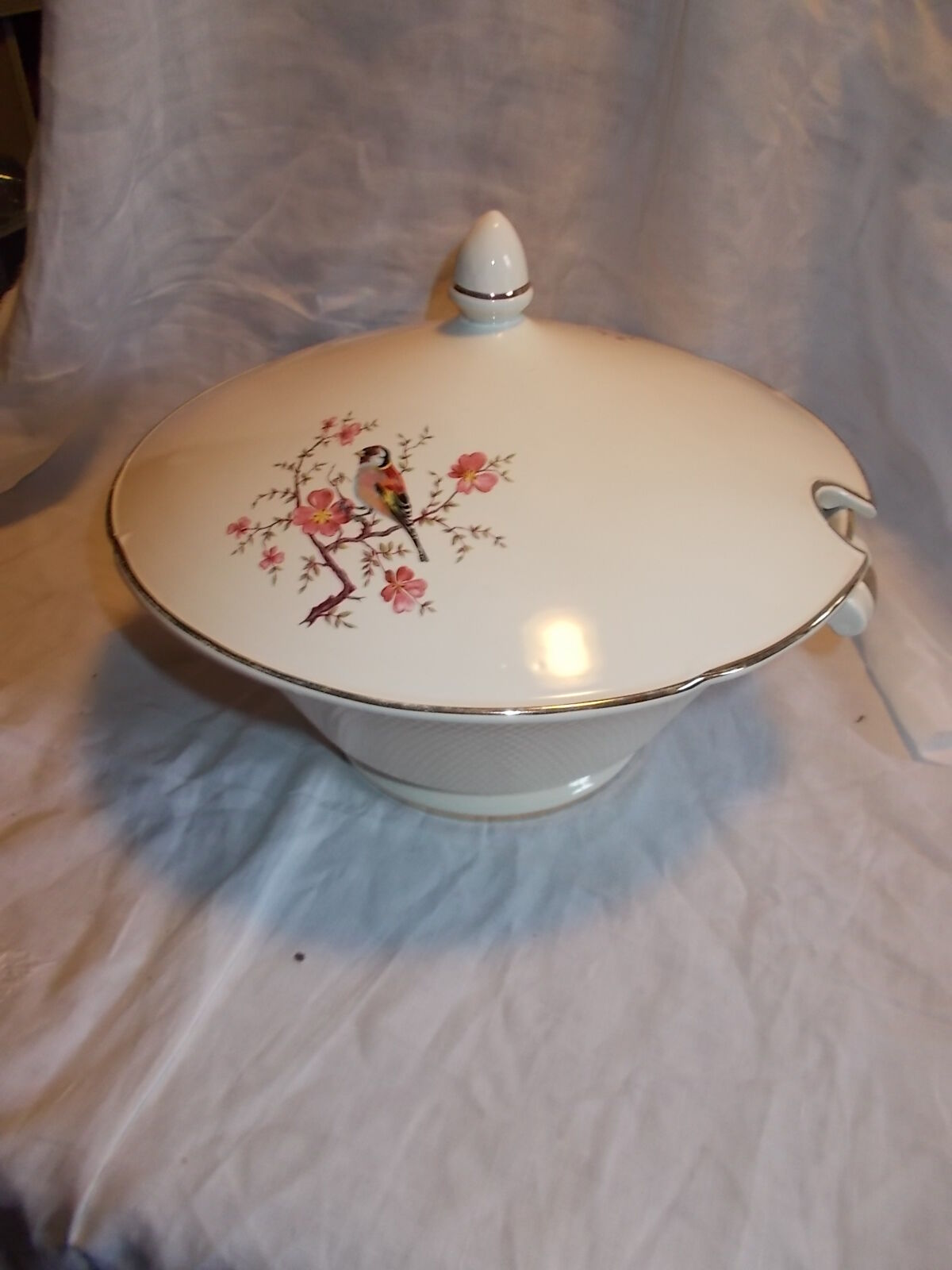 Salad bowl Salins France