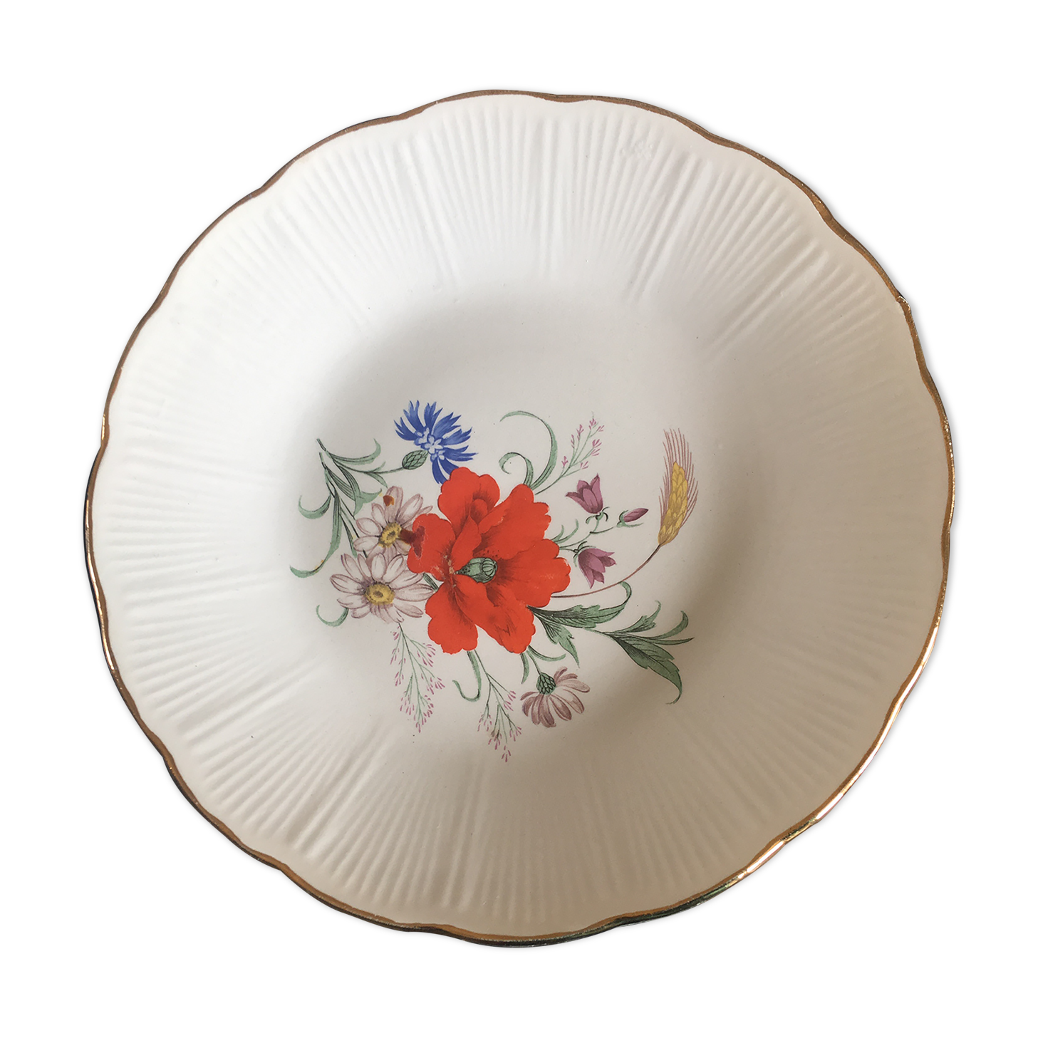 Hollow plate the Amandinian pastoral model