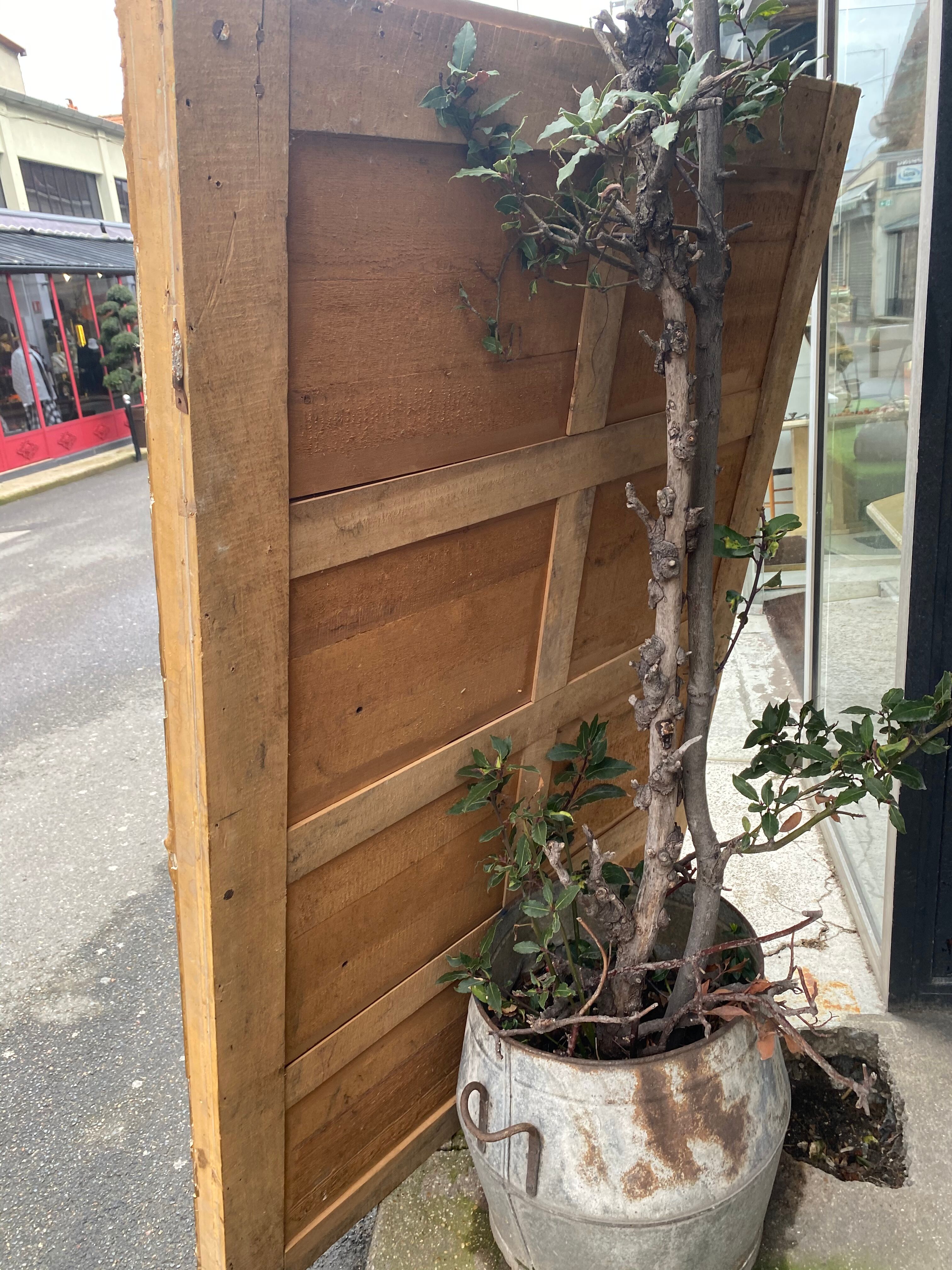 Mirror 19 Eme  118x174cm