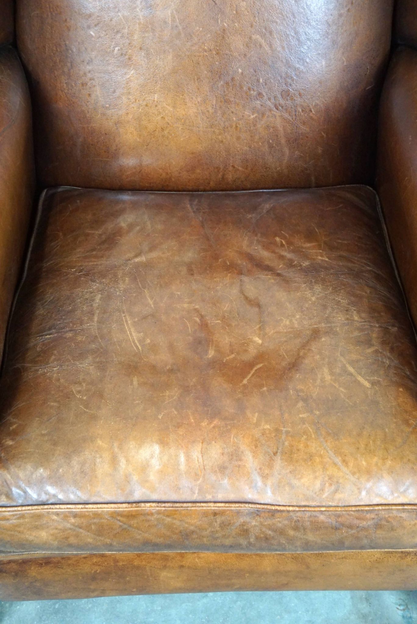 Fauteuil à oreilles particulièrement confortable en cuir de mouton, couleurs époustouflantes