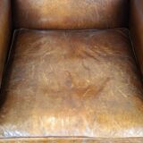 Especially comfortable wingback chair made of sheepskin leather, stunning colors