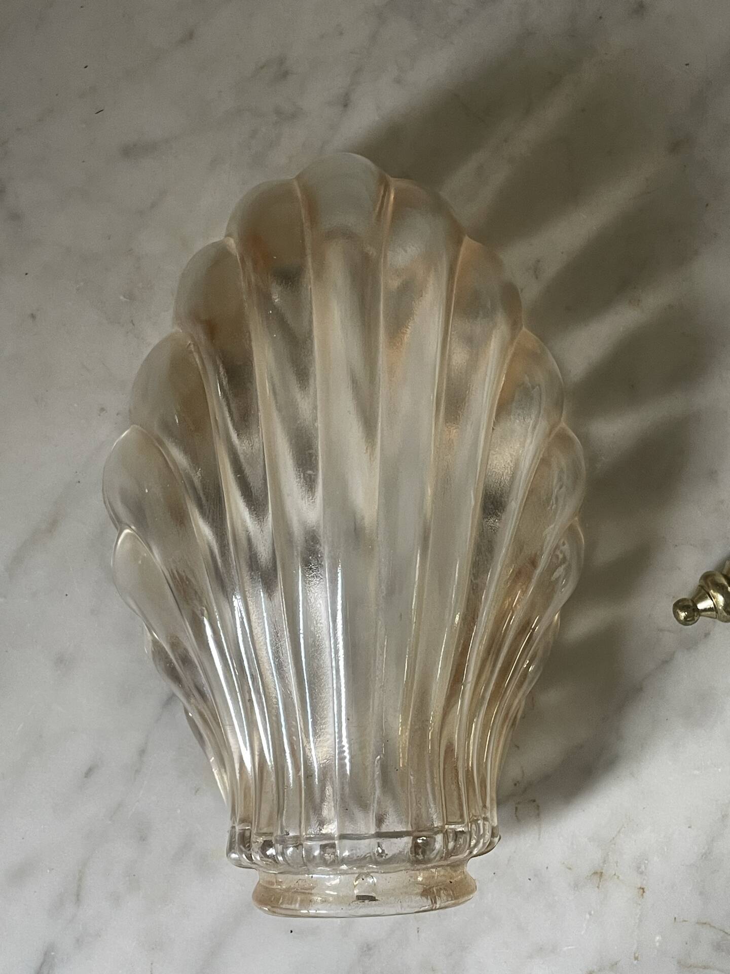 Vintage smoked glass shell wall light