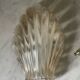 Vintage smoked glass shell wall light