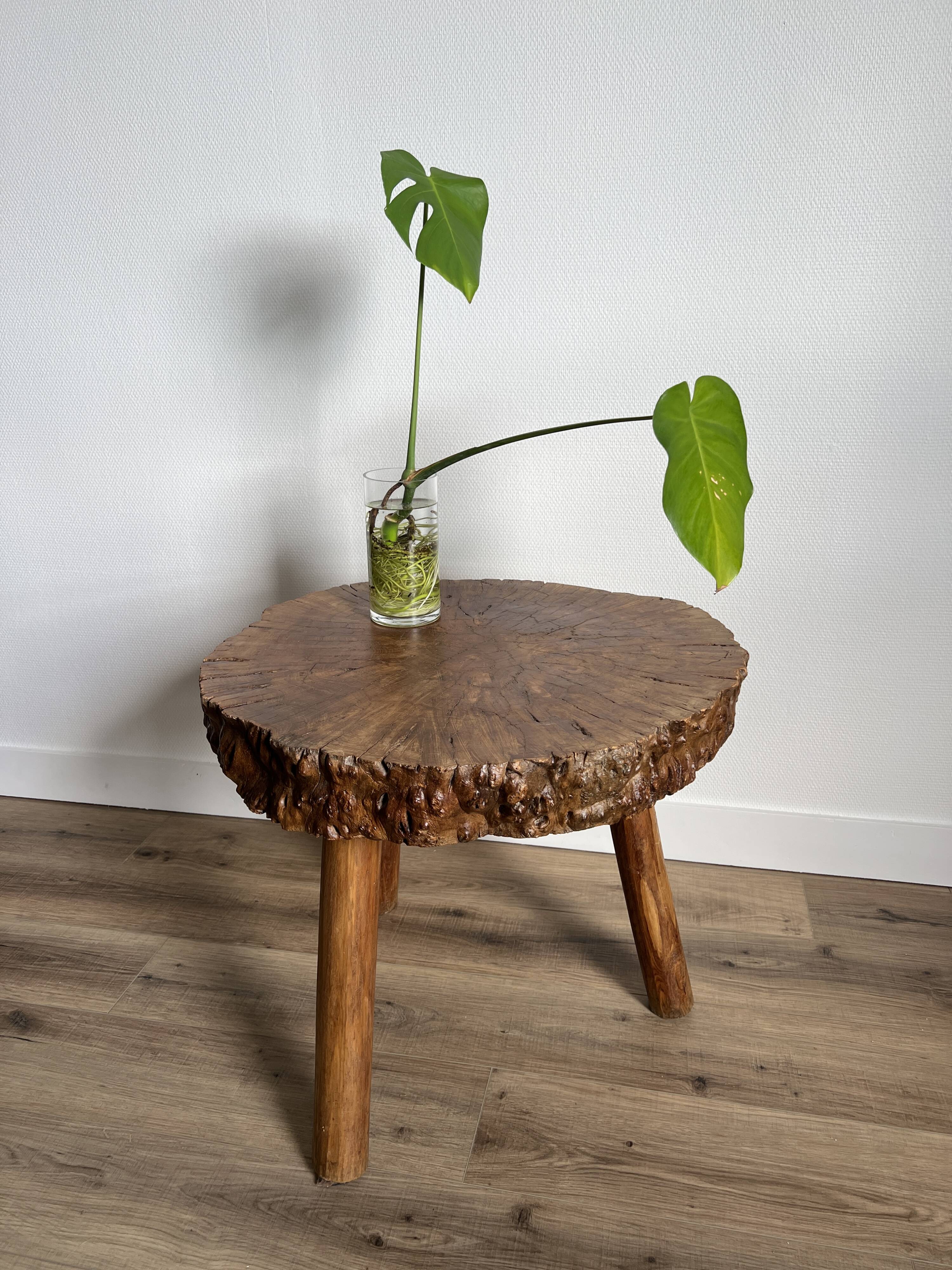 Brutalist tripod coffee table in elm burl, 1950.