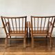 2 fauteuils de ster gelderland