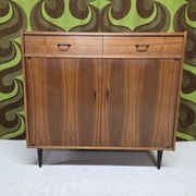 1970s vintage storage furniture