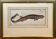 Gravure ancienne poisson – Ludwig Schmidt (XIXᵉ siècle)