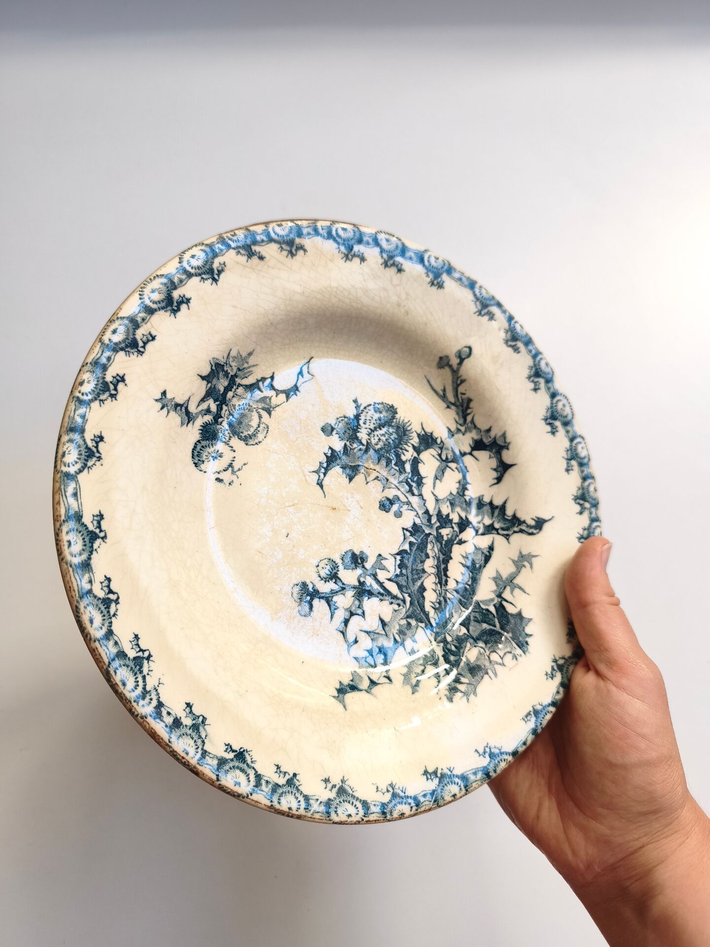 Vintage decorative plate, Gien Chardon bleu model, ironstone.