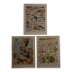 Set of 3 original lithographs on fish, algae and oceanography
