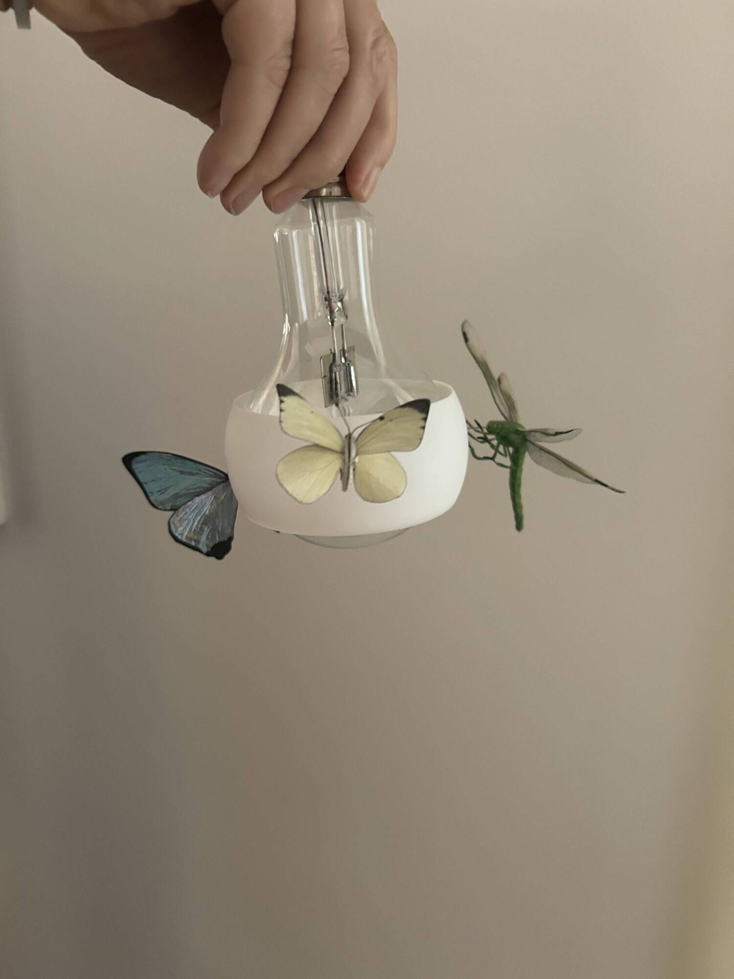 Set of 2 Johnny B. Butterfly pendants by Ingo Maurer