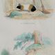 Original zoological plank "Indian Pig - Mole - Hedgehog " Buffon 1840