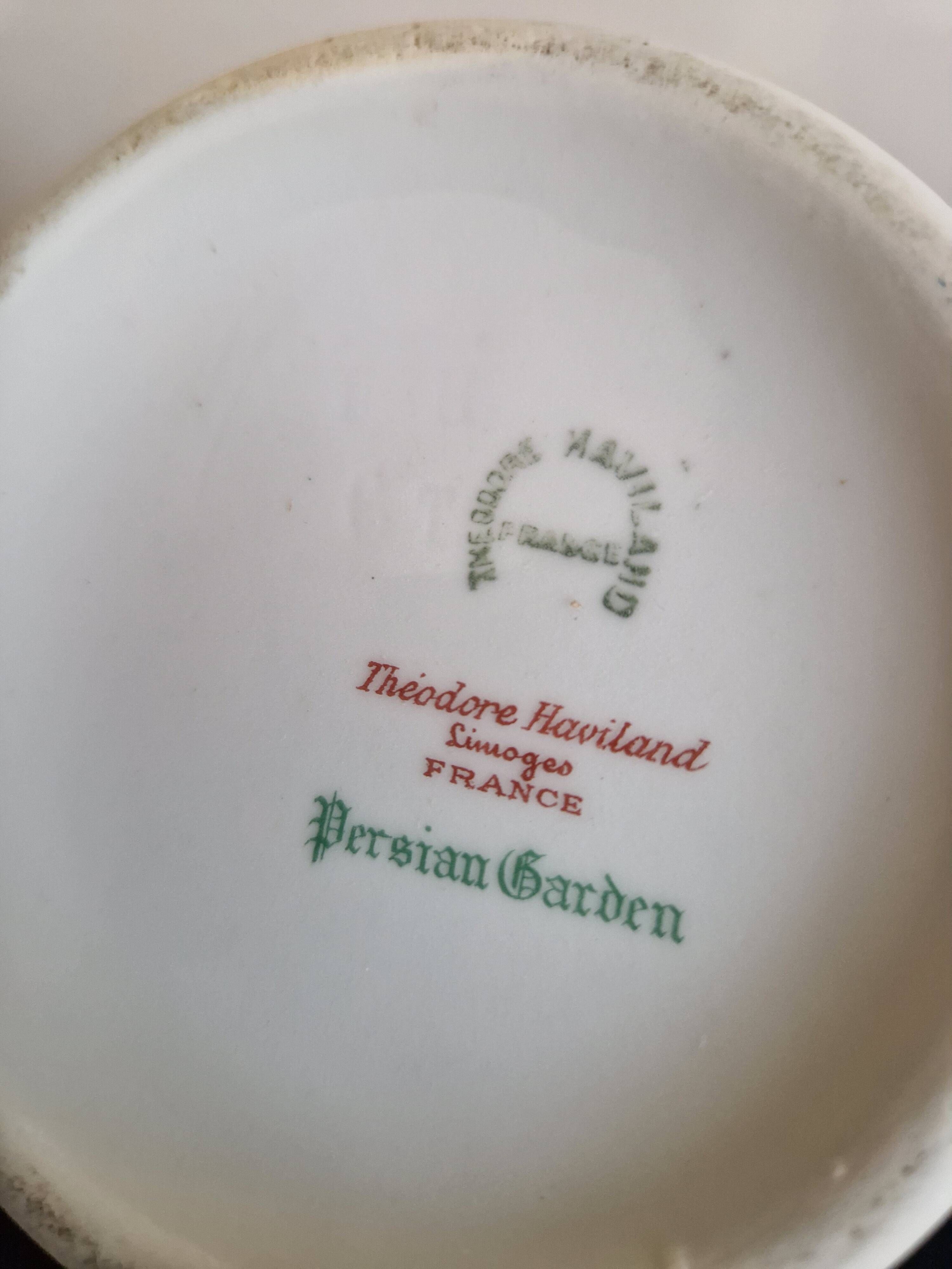Théodore Haviland Limoges - 23-piece coffee service - Persian Garden decoration