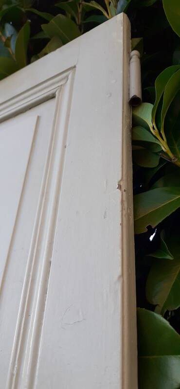 Pair of old cupboard doors h220.5xL75cm each