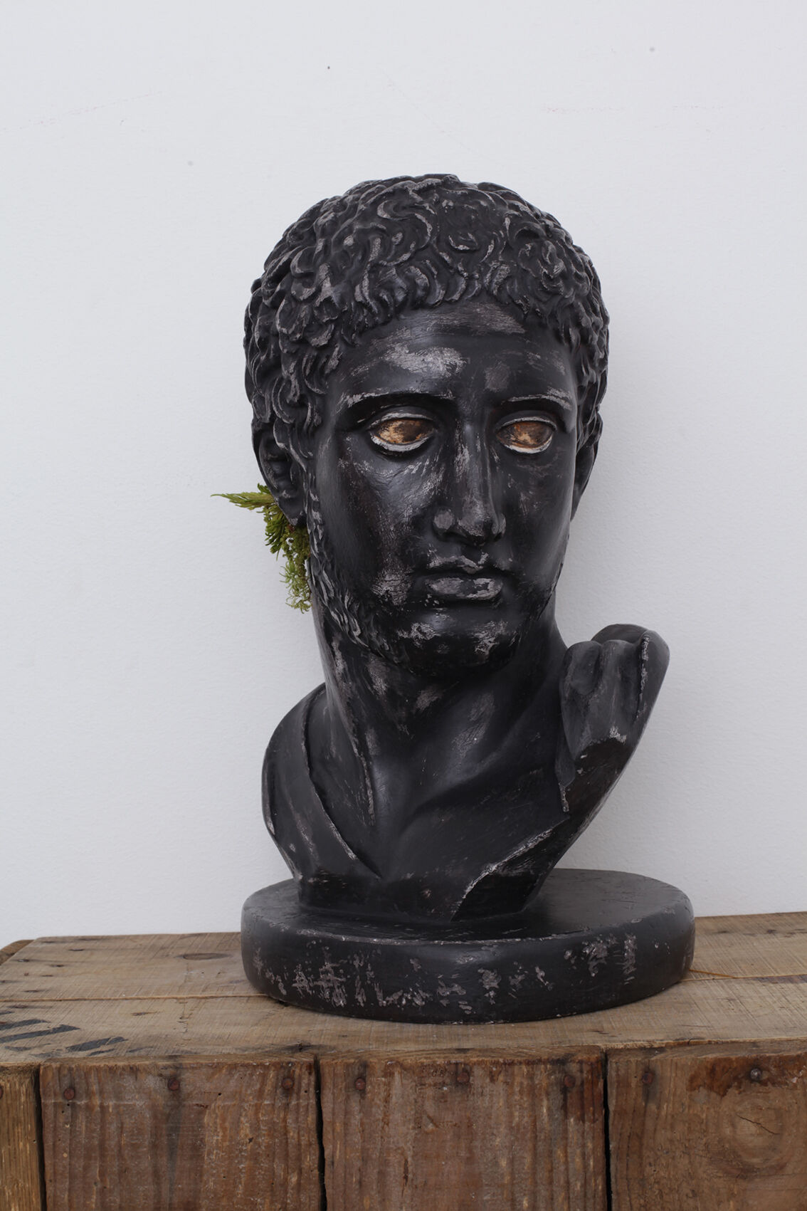 Greek head in waxed black plaster