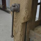 Oak establishment from the 30s