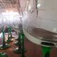 Lot of 10 Old green-stemmed wine glasses from Alsace Engraved vine decoration ARC crystal