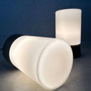 2x vintage ceiling lamp – bakelite and opaline