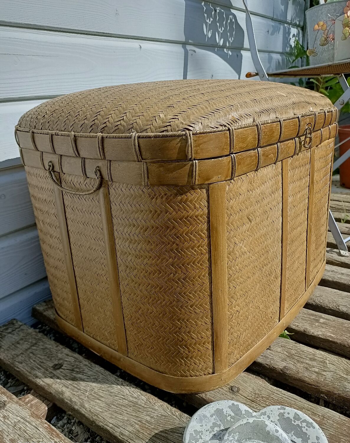 Old trunk rice straw