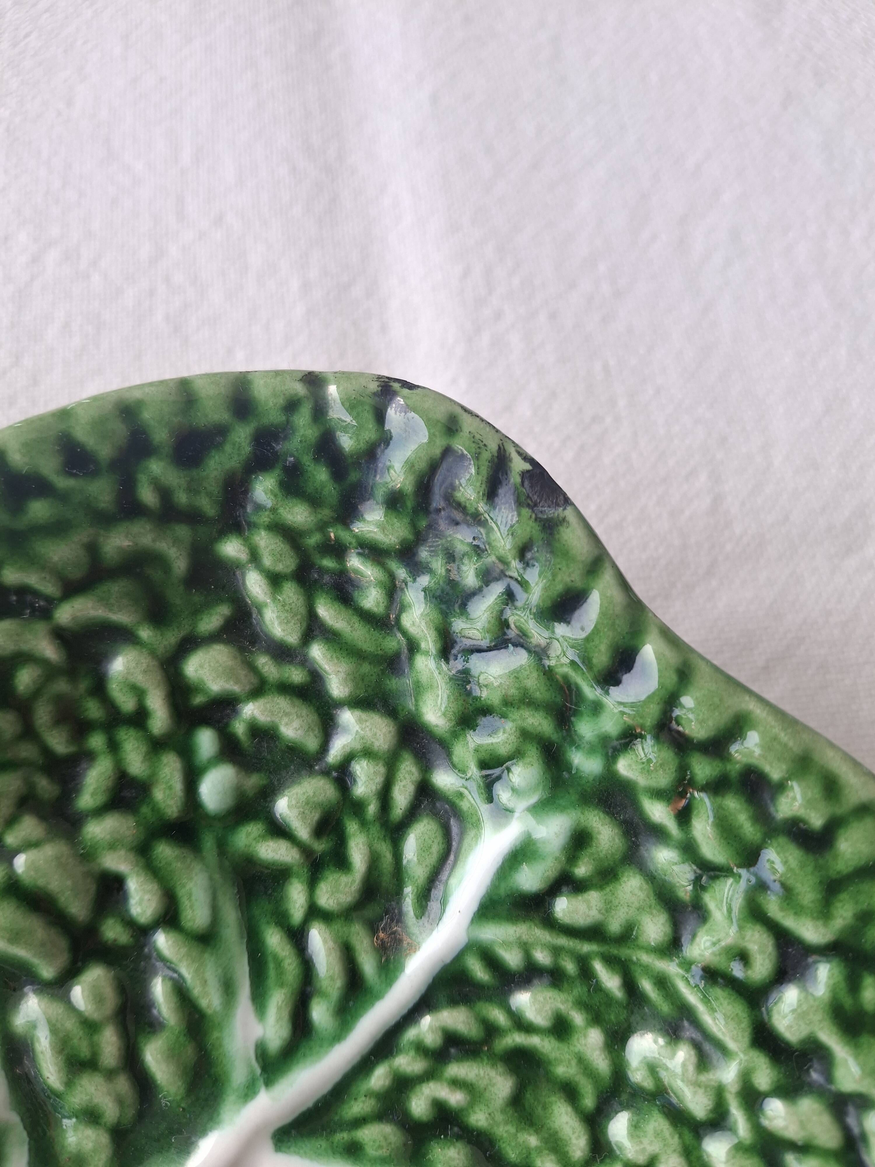 cabbage dish