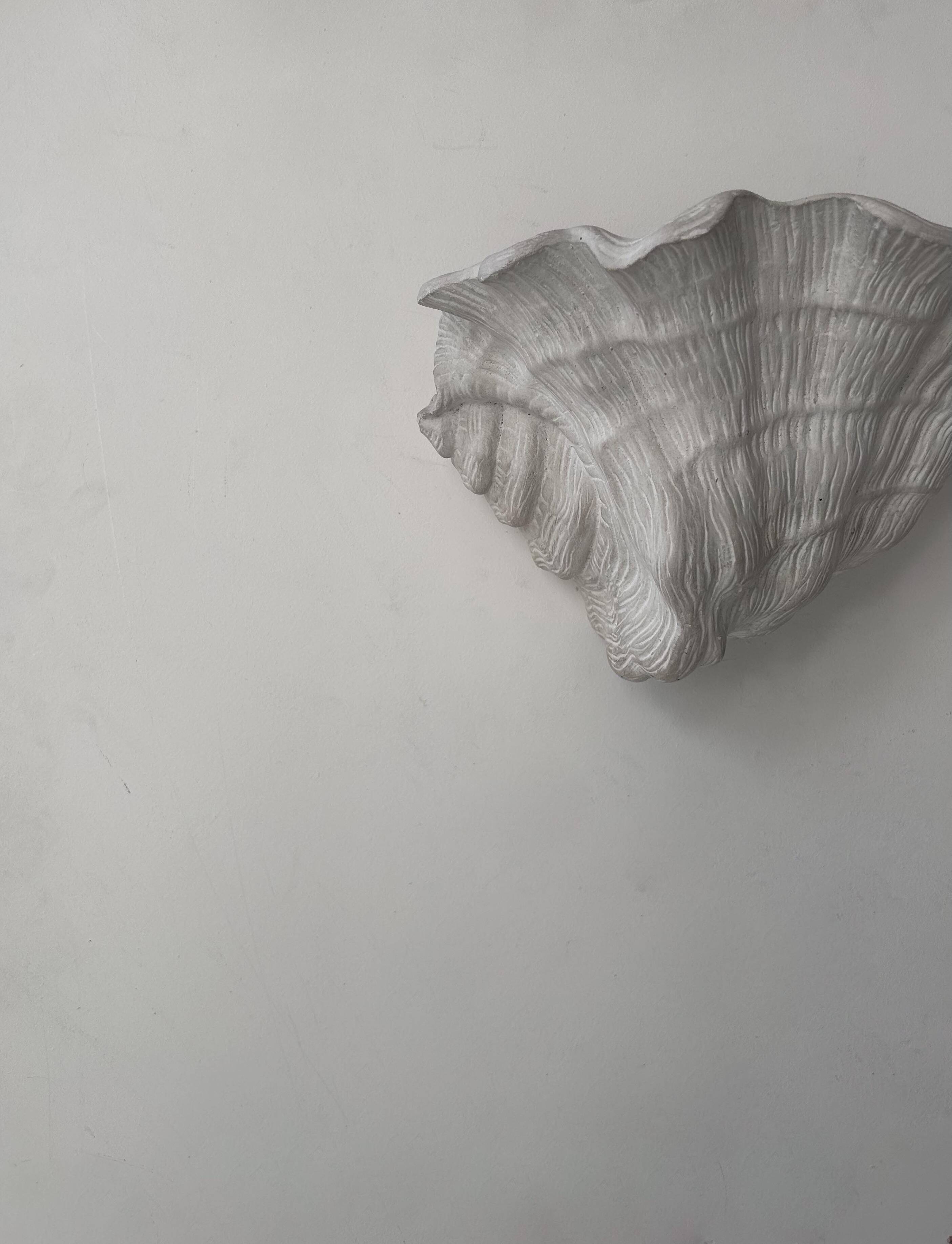 Pair of vintage shell wall lights, matte white plaster, France 1940