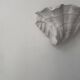 Pair of vintage shell wall lights, matte white plaster, France 1940