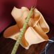Vintage Exclarares draped lamp