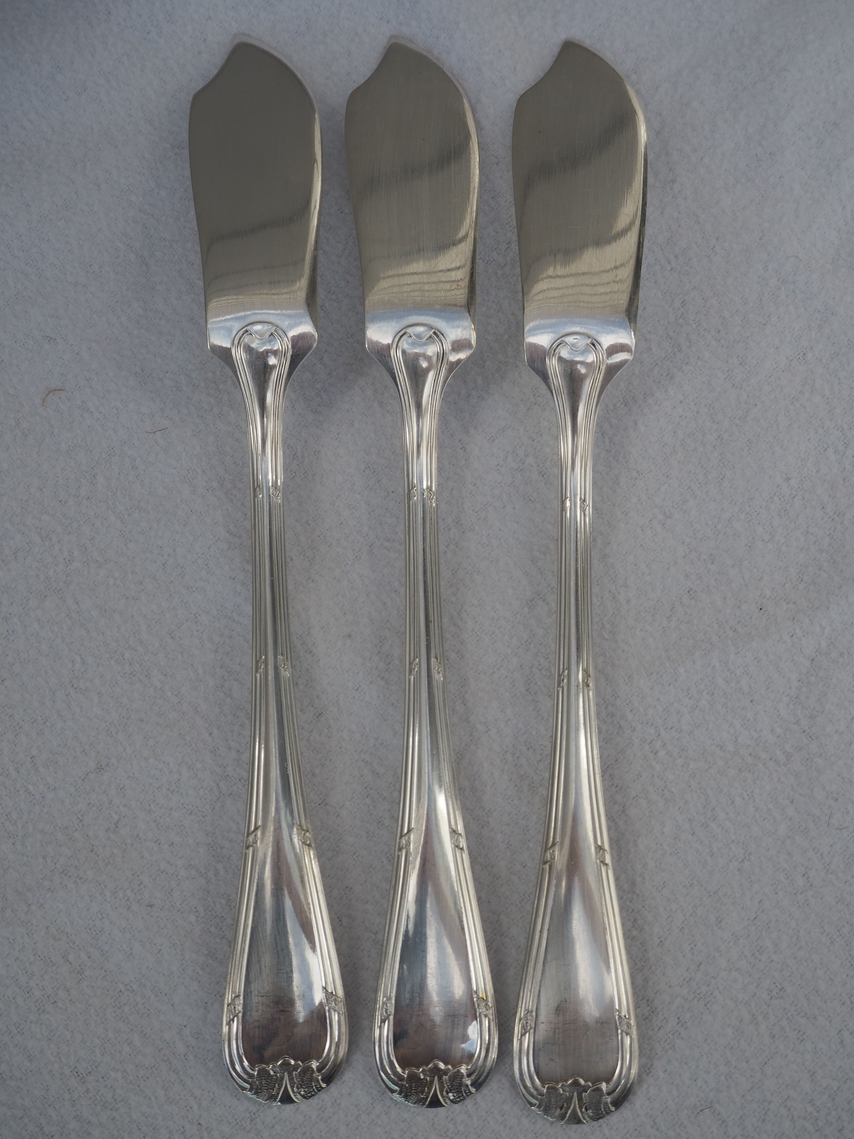 Fish service and its 6 silver-plated cutlery, crossed ribbon model