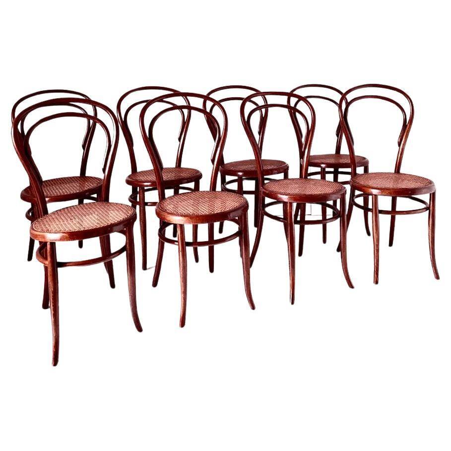 Bentwood and cane dining chairs, set of eight, Jacob & Josef Kohn, Austria 1900s
